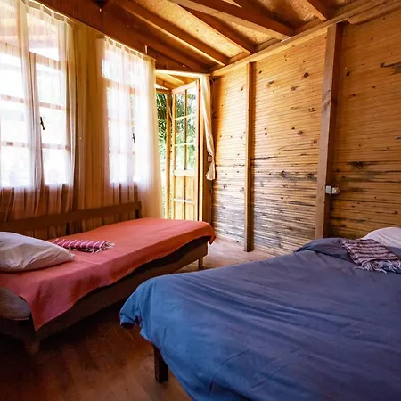 The Fabric Lounge Hotell 2*