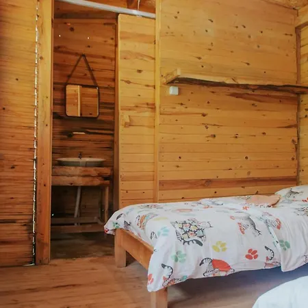 The Fabric Lounge 2* Faralya