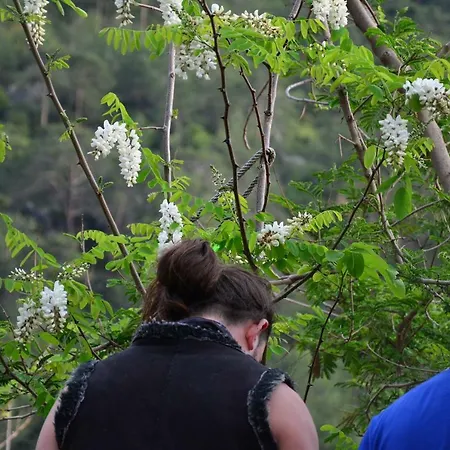 Hotell The Fabric Lounge