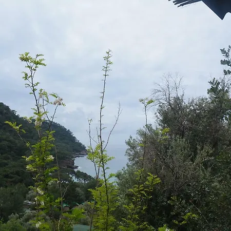 The Fabric Lounge 2* Faralya