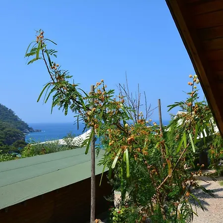 The Fabric Lounge Hotel 2*