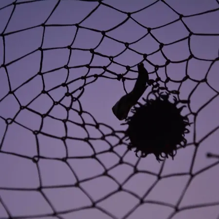 The Fabric Lounge Hotell 2*