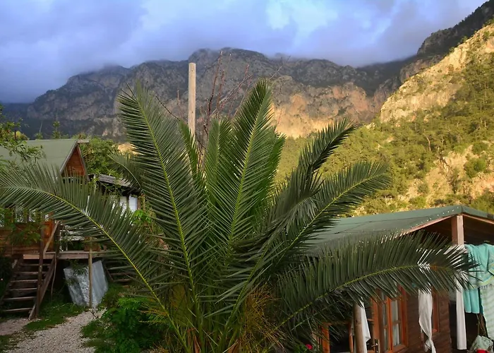 The Fabric Lounge 2* Faralya