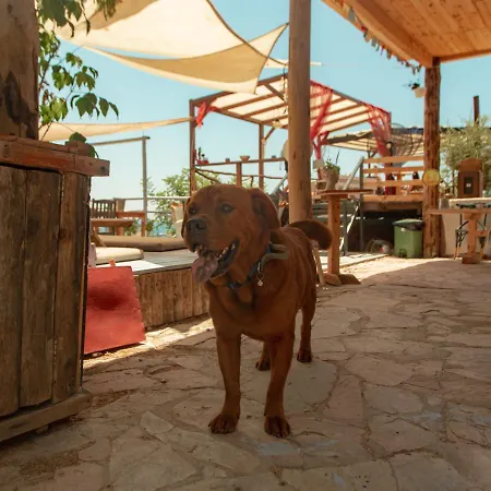 The Fabric Lounge פאראליה