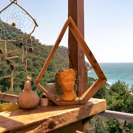 מלון The Fabric Lounge 2*