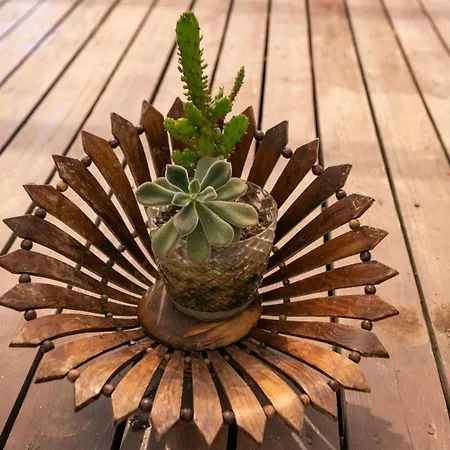 מלון The Fabric Lounge 2*