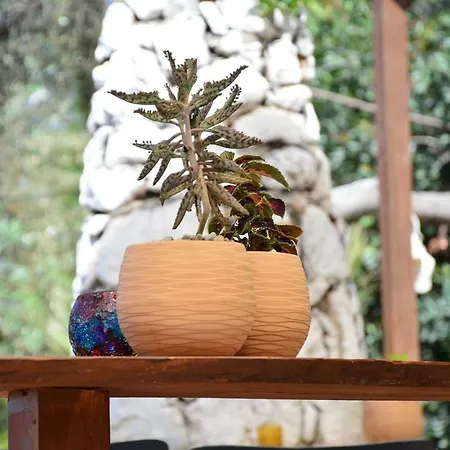 מלון The Fabric Lounge 2*