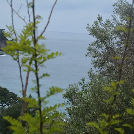 The Fabric Lounge פאראליה