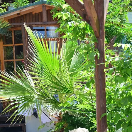 The Fabric Lounge 2* פאראליה