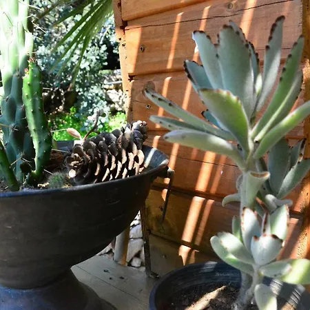 The Fabric Lounge פאראליה