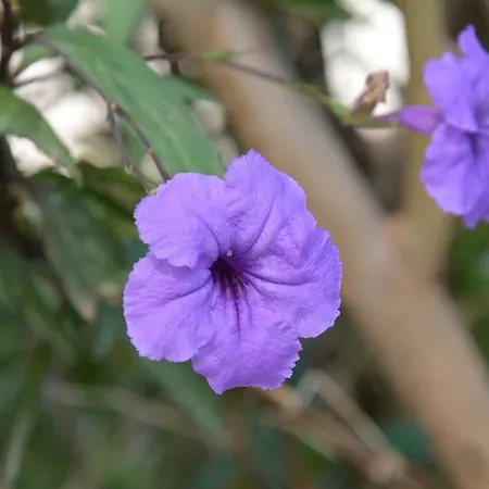 מלון The Fabric Lounge