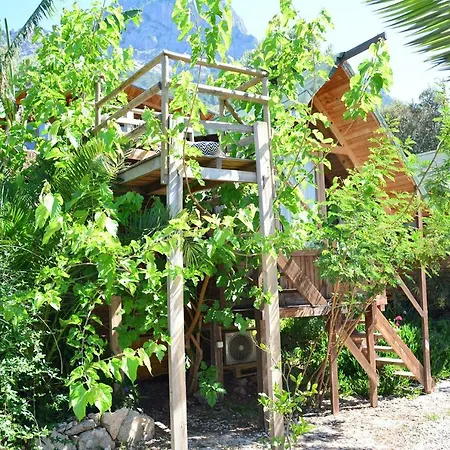 The Fabric Lounge מלון פאראליה