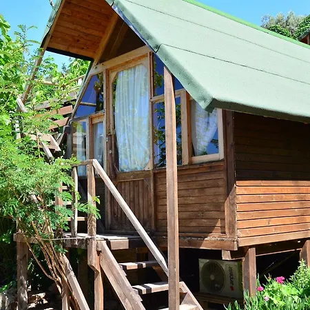 The Fabric Lounge 2* פאראליה