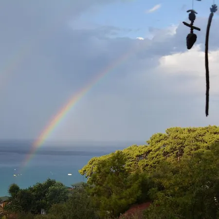 The Fabric Lounge Faralya